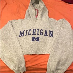 Cropped Michigan hoodie